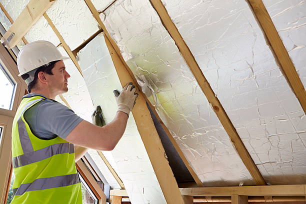 Best Insulation Removal  in Powhatan Point, OH